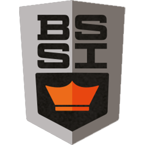 Bolle BSSI glasses Bolle tactical goggles