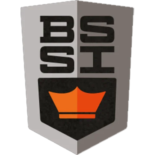 Bolle BSSI glasses Bolle tactical goggles